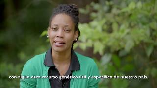 Casos de Acceso y Distribución de Beneficios y biodiversidad en el Caribe [upl. by Ario894]