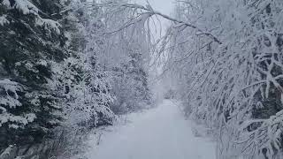 Winter in Manitoba Canada [upl. by Ikairik285]