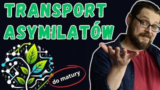 Transport asymilatów w roślinie  fizjologia roślin  cukier transportowy  sacharoza [upl. by Lenox]