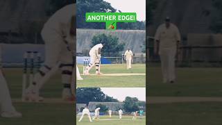 PROMOTION PUSH ACTION PACKED GAME 🏏🏏🏏 ABSports1 [upl. by Asiralc]