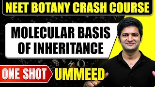 MOLECULAR BASIS OF INHERITANCE in 1 Shot  All Concepts Tricks amp PYQs  NEET Crash Course [upl. by Pinzler]