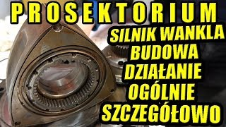 SILNIK WANKLA BUDOWA DZIAŁANIE CIEKAWOSTKI PROSEKTORIUM PROFESORA [upl. by Kristyn495]