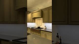 High End Kitchen Cabinets and Kitchen Appliances Like Oven Dish Washer Stove [upl. by Airdua]