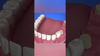 dental teeth animation viral shorts health motivation 3d fitness gym 3danimation anatomy [upl. by Akialam958]