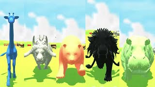 Colored Animals Speed Races  Giraffe Panda Buffalo Lion Hippopotamus [upl. by Ahseuqal603]