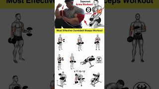 Biceps workout  biceps workout with dumbbells  biceps  Best Bicep workout biceps [upl. by Ellynad]