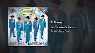 El Borrego  Los Tucanes De Tijuana Audio Oficial [upl. by Acsehcnarf]