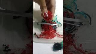 Pompom making video [upl. by Clarissa]