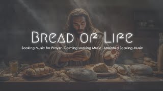 Soaking Music for Prayer Calming soaking Music Anointed Soaking Music Fire Soaking Music [upl. by Repsag278]