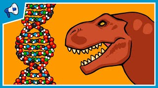 What is DNA and How Does it Work [upl. by Eiralav]