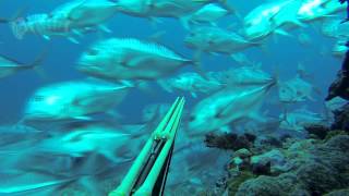 Spearfishing  Chasse sous marine  Decembre  Nouvelle Calédonie [upl. by Mccully961]