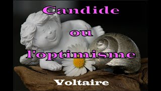 Voltaire  Candide ou loptimisme  chapitre 1 2 et 3  Livre Audio [upl. by Sabsay]