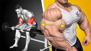 BEST Exercises To Build Bigger Arms At Home  Do These Biceps Exercise Tier List Simplified of 2024 [upl. by Zerdna556]