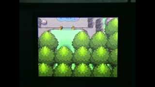 Pokemon et laction replay part 33  quelques glitches [upl. by Darcey715]