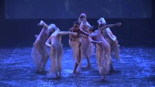 BROLGA Bangarra Dance Theatre Education Resource [upl. by Analle]