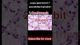 😲Important gland 😦 practice neet mbbs zoology physiology viral youtubeshorts trending study [upl. by Ahsak]