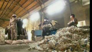 How Plastic Bottles Are Recycled Into Polyester [upl. by Hochman803]