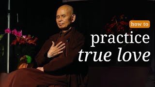 True LOVE  Teaching by Thich Nhat Hanh [upl. by Arotal]