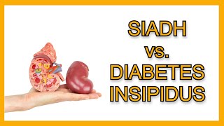 SIADH vs Diabetes Insipidus [upl. by Filide]