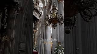 Catedral de Puebla [upl. by Ahtibbat]