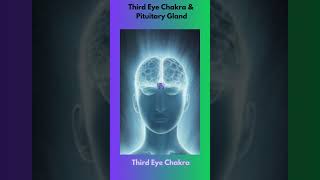 Third Eye Chakra and Pituitary Gland shorts thirdeye pituitarygland [upl. by Haret]