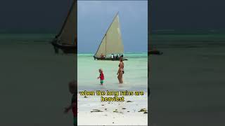 Best Time to Visit Zanzibar Travel Guide [upl. by Aehsa563]