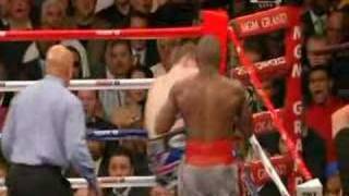 Calzaghe VS Mayweather [upl. by Enyrehtac]