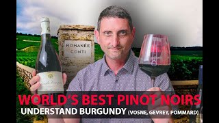 Finest Burgundy Wines  Your Guide to Top Pinot Noirs  VosneRomanée Pommard GevreyChambertin [upl. by Fowler]