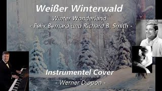 Weißer Winterwald  Instrumnetel Cover  Werner Dippon [upl. by Yarg772]