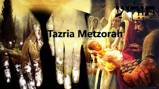 27a Tazria amp 28a Metzorah  Dvar Torah with Deeper Insights into that which comes forth from us [upl. by Spooner]