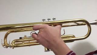 D minor scale on TRUMPET [upl. by Annawad]