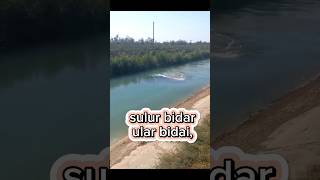 sulur bidar hantu bidai ular bidai [upl. by Sairu]