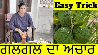 Galgal Ka Achar  चटपटा गलगल का अचार  Easy Recipe Punjabi Style Trick [upl. by Garek700]